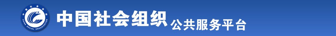 插入你的穴全国社会组织信息查询